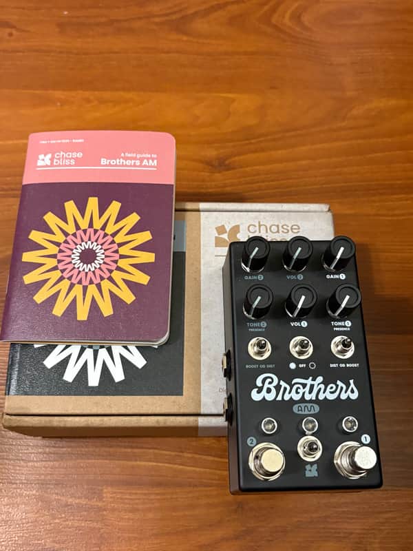 Chase Bliss Audio Brothers AM