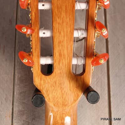WASHBURN Festival  CUSTOM ART Guitar - EACT42S Classical Thinline image 10