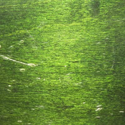 Pearl Session Series 14" (Green Lacquer) Finish Tom. image 8