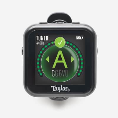 Taylor Beacon Tuner Bild 2