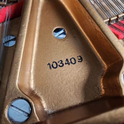 1901 Steinway B Grand Piano Rebuilt by Steinway in 1998 * Free 1st floor Delivery in NJ!* image 5