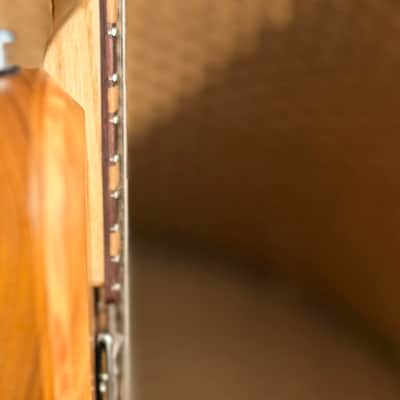 Gravity Guitar Venus image 3