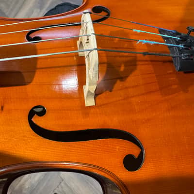 Hidersine Vivente 3/4 Cello - Amber / Antique Varnish with bow and case image 11