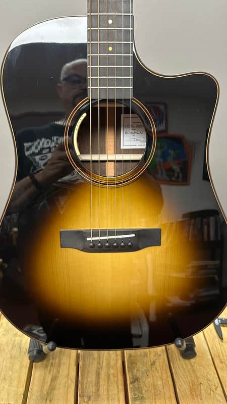 Bedell Breedlove Brazilian Rosewood Brand New With Cities passport image 1