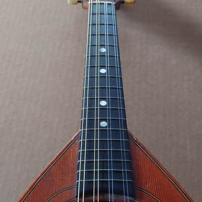 Rare Schwarzer Model 120 "Echo" bowl back mandolin Circa 1900 image 15