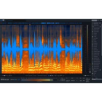 iZotope RX 11 Advanced Upgrade from any previous Advance (Download) image 2