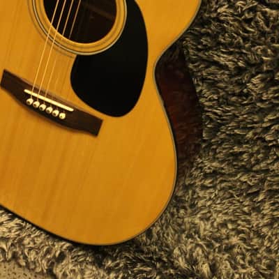 Takamine G-230 Series Acoustic Guitar, Spruce Top Ships Worldwide image 3