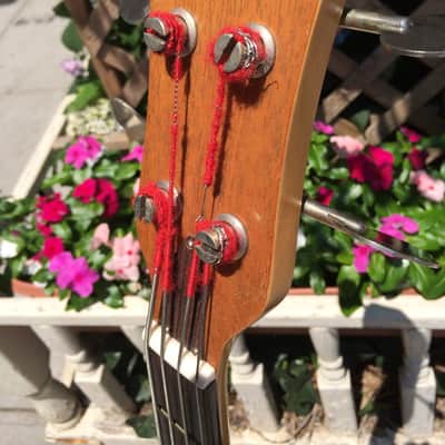 Memphis 1984 Bass set neck Walnut MIJ Japan Matsumoku with Orig. Case + FREE SHIPPING image 10
