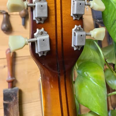 Hofner - President Brunette Sunburst - '64 image 9