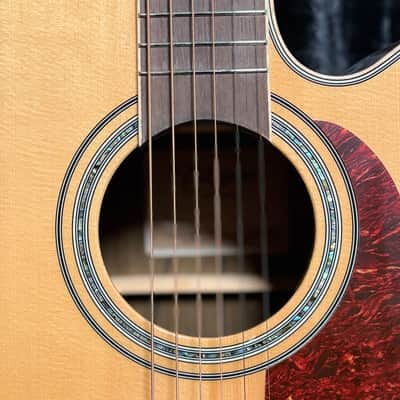 TAKAMINE GN90CE Ziricote Gloss Natural With Free Gig Bag image 4