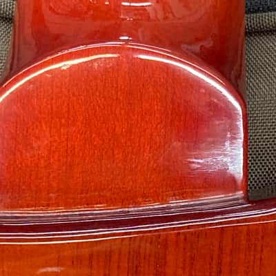 PRS SE Custom 24 Spalted Maple 2018 - Vintage Sunburst image 19