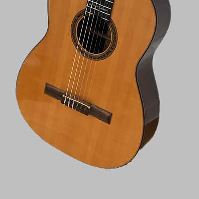 Martin N-20WN Willie Nelson "Trigger" Limited Edition Signature Model 1998 image 5