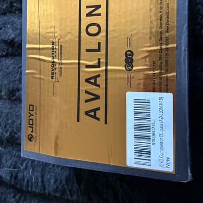 Joyo R-Series R-19 Avallon 2022 - Present - Silver image 7