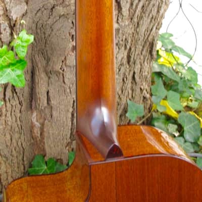 Preston Thompson 000-12MA Custom Cutaway 2017 - Natural image 6