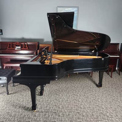 1901 Steinway B Grand Piano Rebuilt by Steinway in 1998 * Free 1st floor Delivery in NJ!* image 7