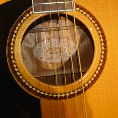 Washburn D10SCE 2020s - Natural - Price Reduced image 5