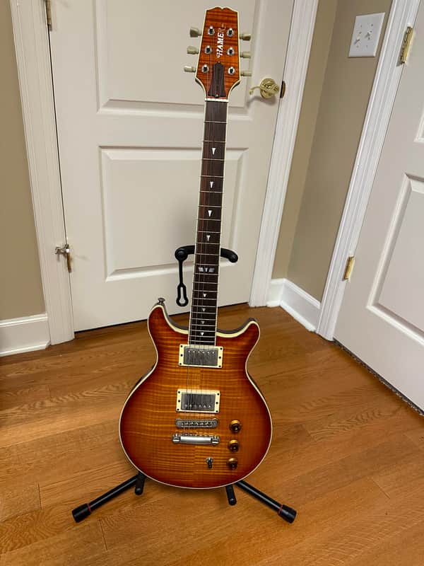 Hamer 30th Anniversary guitar 2004 image 1