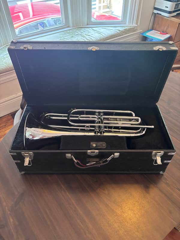 DEG Dynasty II Marching 2 Valve French Horn Bild 1