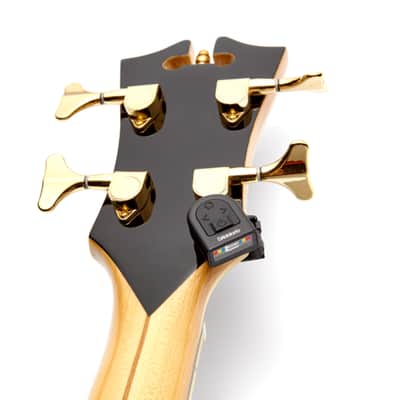 D'Addario PW-CT-12NS Micro Tune - Clip Tuner image 8