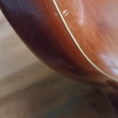 Alembic Classico Electric Upright with stand and soft case image 7