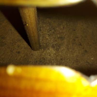 Giovan Paolo Maggini Brescia 4/4 violin, 1630? Very Good Vintage Condition image 12