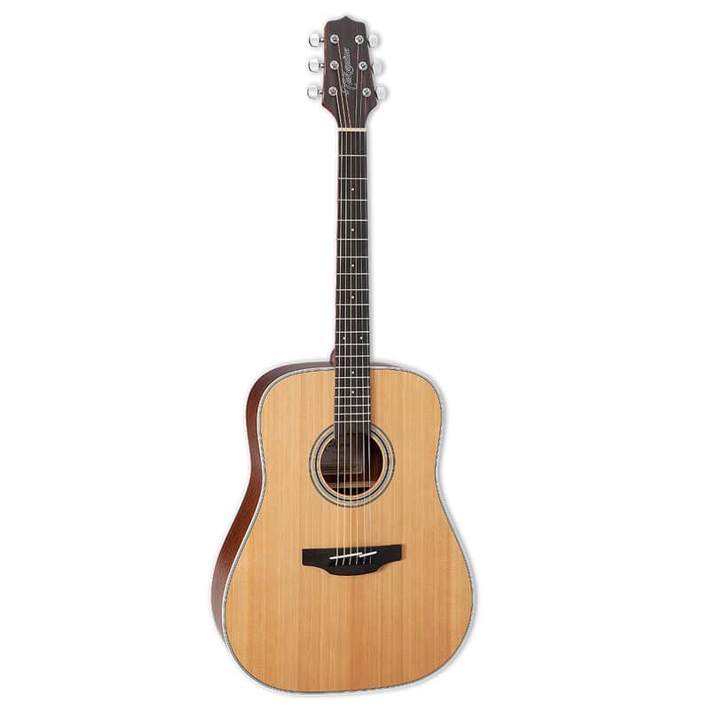 Takamine GD20 Dreadnought Acoustic Guitar, Natural Satin image 1