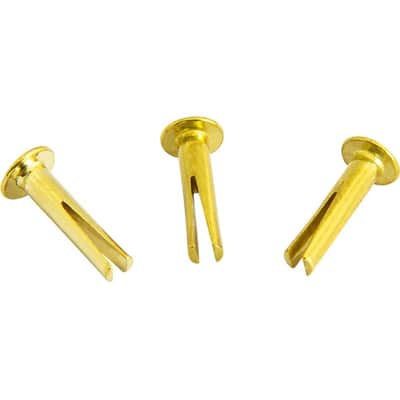 MEINL CY-RIVET-BR Sizzle Rivets Brass Plated Steel Becken-Ersatznieten (3Stück) image 1