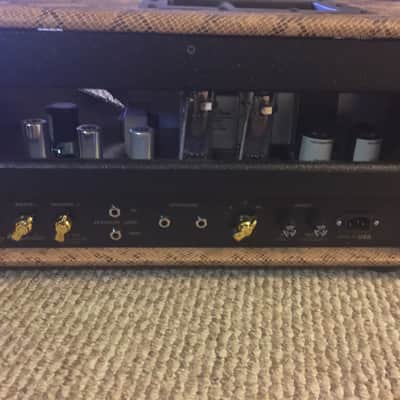 Blades Custom Amplification Firebolt 2015 Snake Skin image 3