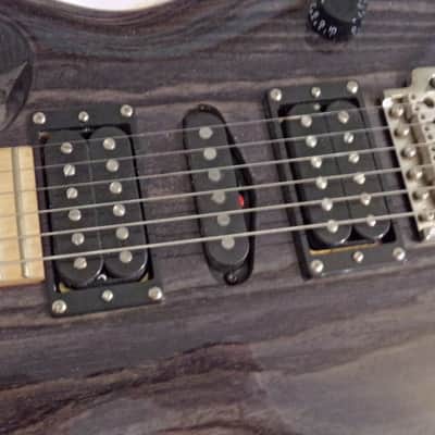 PRS SE SWAMP ASH special MINT  Charcoal image 5