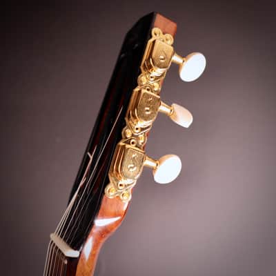 2017 Holo Tradition D-hole Selmer-Macaferri Style Manouche Guitar "Staro" image 8
