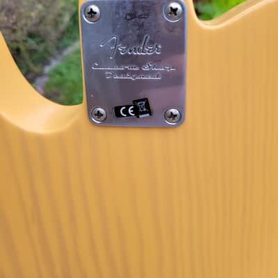 Fender Baja Telecaster w/P90 Neck image 4
