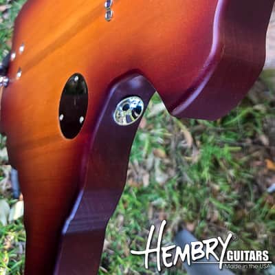 HEMBRY Tele style Texas Map guitar 2025 image 10
