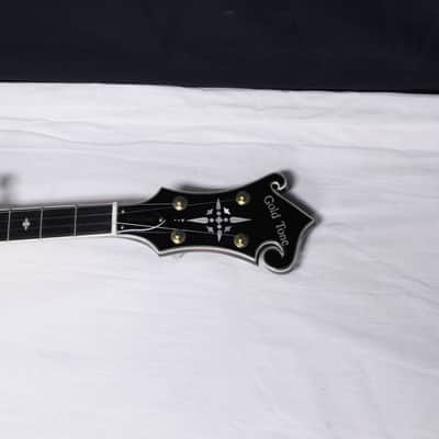 Gold Tone EBM-5 F-style electric 5-string Banjo w/ CASE - Planet Tuners -B-stock image 6