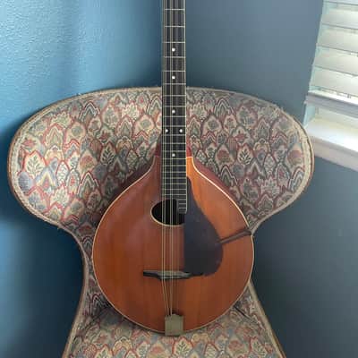 Mandocello image 5