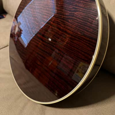 Deering Tenbrooks Saratoga Star Banjo image 7