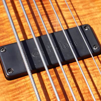 1998 Zon Legacy Elite 5 String Fretless Bass (EX John Giblin, Simple Minds, Kate Bush etc) image 21
