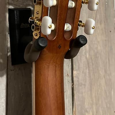 New Cordoba C4-CE Mahogany Classical with Electronics - Edgeburst, Support Small Business, Shop Here! image 13