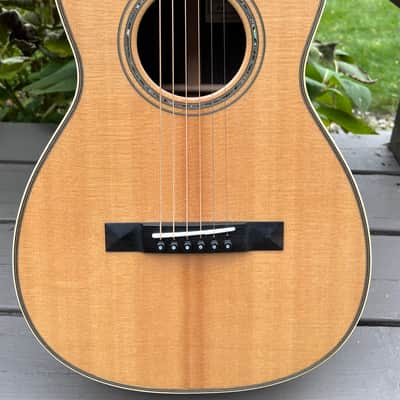 Santa Cruz PJ - Rosewood Back & Sides imagen 1