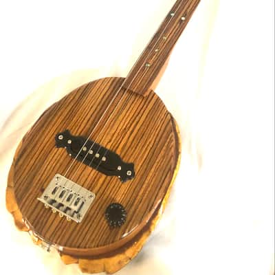 4 string Turtle shell slide guitar image 9