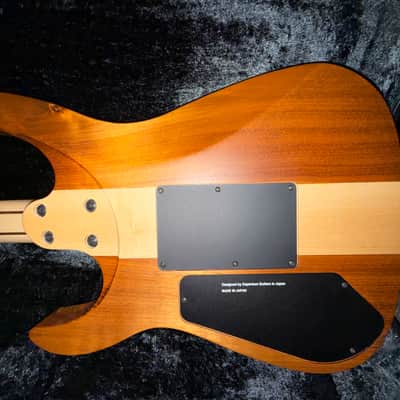 Caparison Dellinger-SH-BM Custom Line 2025 - Very cool image 12