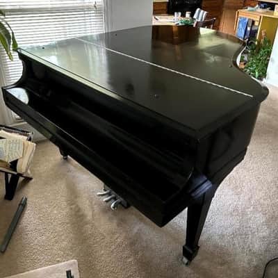 Historic Acoustic Magic: Classic Steinway M image 2