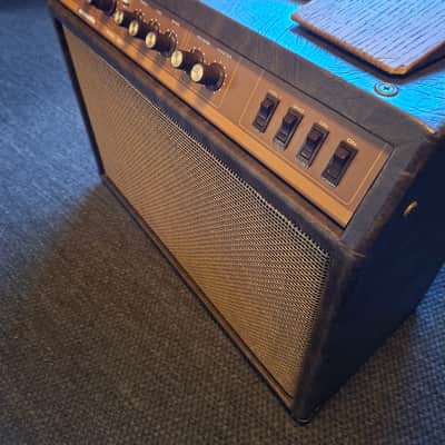 Acoustic G60T mit EV Speaker 1980-1982 - braun image 3