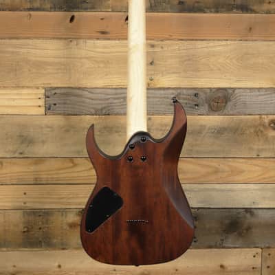 Ibanez RG RG421S Electric Guitar Sea Shore Matte image 5