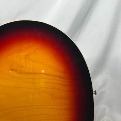 Welson 1960s DS2 Vintage Hollow Body Electric Guitar image 12