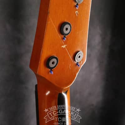 Alembic Japan 1980s AJ-II-JB FL image 14