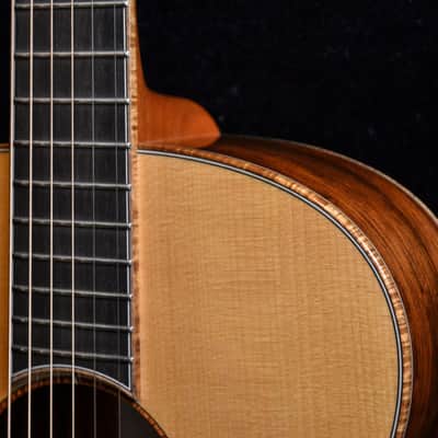 Baden - American Made TJ Baden Guitar Madagascar image 8