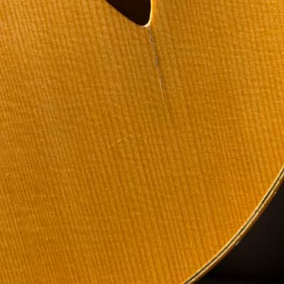 Eastman PG2 Pagelli Archtop 17" image 18