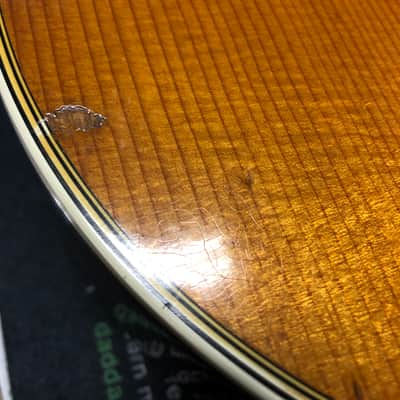 Martin D-28 1969 image 12