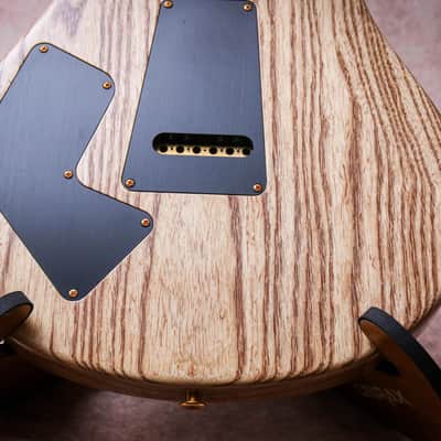 PRS USA Paul Reed Smith Wood Library Modern Eagle V "Custom Colour + Rosewood" (2022) image 16