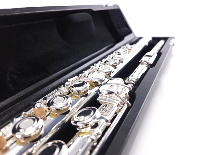 Di Zhao DZ 401 E Flute Open Hole B Foot Split E Silver Lip Intermediate NEW image 1